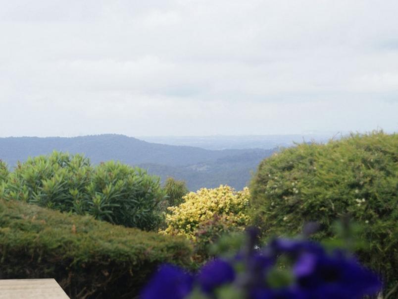 Bed and Breakfast Hillside Country Retreat Gold Coast Exteriér fotografie
